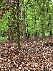 15 pictures - Dark haired hottie in knee highs pees outside