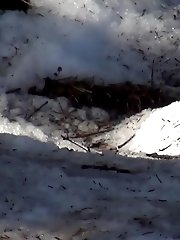 15 pictures - No Entry