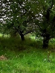 15 pictures - A Pond