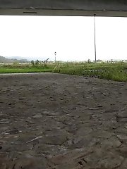 15 pictures - Exotic babe squats to piss near main road