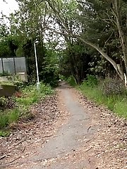 15 pictures - Black Leggings Peeing Jogger