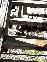 15 pictures - Pretty dark haired girl sprays her piss onto steps