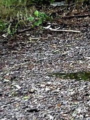 15 pictures - Happy Bum