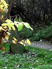 15 pictures - Hot babe pees on a public path while outside