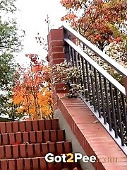 15 pictures - Brick Steps