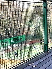 15 pictures - On The Decking