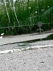 15 pictures - Pretty brunette pees in a bus stop on a main road