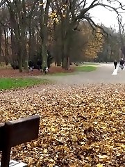 15 pictures - Public Park