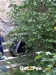 15 pictures - Back Garden