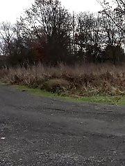 15 pictures - Pregnant brunette pisses on the ground outside
