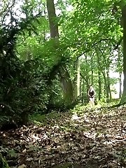 15 pictures - Lost in Forest