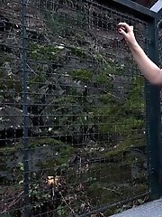15 pictures - Girl in zebra print dress pisses on some steps