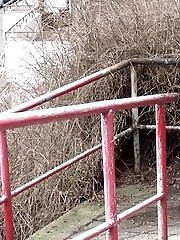 15 pictures - Public Path