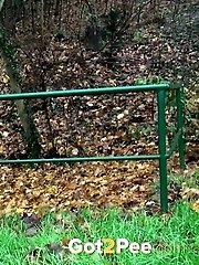 15 pictures - Longest Stream