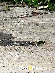 15 pictures - Nearly Bursting