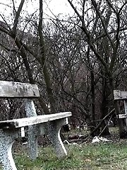 15 pictures - Hot blonde pisses while on a park bench