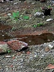 15 pictures - Blonde with tattoos sprays her piss on the ground