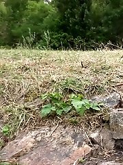 15 pictures - By the Trees
