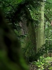 15 pictures - Sexy blonde pees in the forest