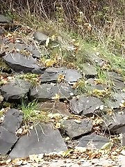 15 pictures - Sticks and Stones