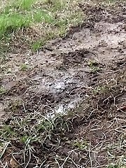 15 pictures - Shy teen pisses behind a parked car on the grass