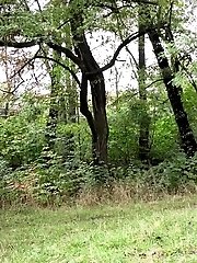 15 pictures - Splash