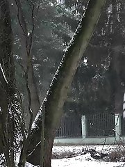 15 pictures - Pretty dark haired babe pisses outside in the snow